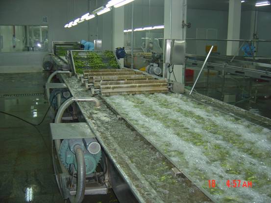 【寵物飼料生產(chǎn)線(xiàn),時(shí)產(chǎn)300kg寵物食品生產(chǎn)線(xiàn)圖片】寵物.